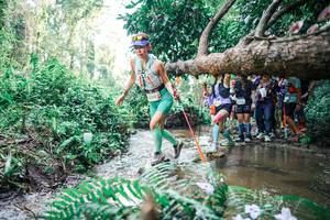 BIB: 
                            <button type="button" onclick="openModal(25471932)" class="btn btn-primary btn-sm float-right btn-popup" data-toggle="modal" data-target=".modal-high-quality">
                        <i class="fas fa-shopping-cart"></i> Add to Cart
                    </button>
                                            <button type="button" onclick="isThisMe(25471932, true)" class="btn btn-success btn-sm float-right btn-popup btn-isme hidden" data-toggle="tooltip" data-placement="bottom" title="นี่คือรูปของคุณใช่ไหม คลิกที่นี่เพื่อเอาเข้าอัลบั้ม">
                        <i class="fas fa-plus"></i> Add to album
                    </button>
                    <button type="button" onclick="isThisMe(25471932, false)" class="btn btn-warning btn-sm float-right btn-popup btn-isnotme hidden">
                        <i class="fas fa-ban"></i> Remove from album
                    </button>